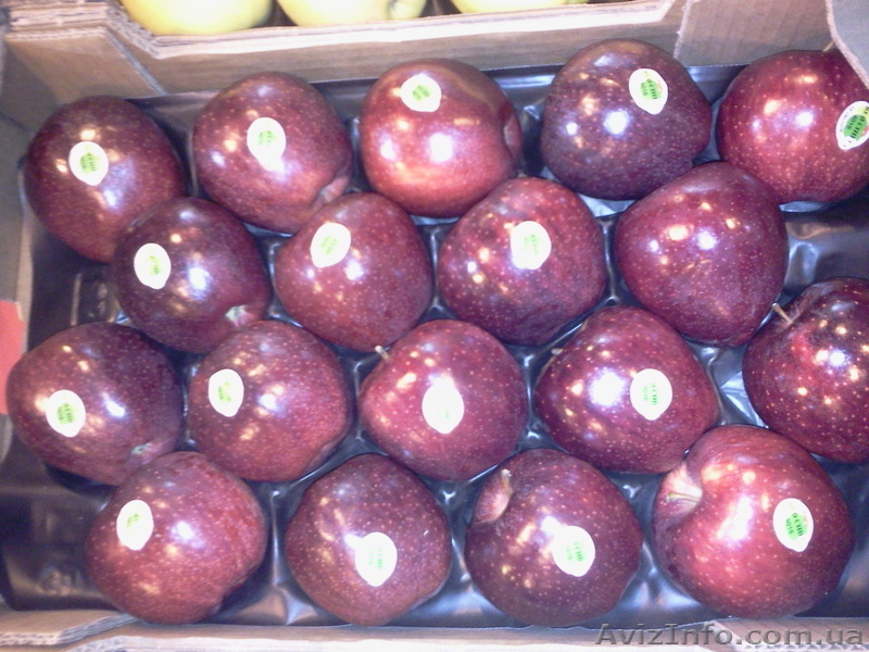 Продаем яблоки из Испании - <ro>Изображение</ro><ru>Изображение</ru> #1, <ru>Объявление</ru> #1406263