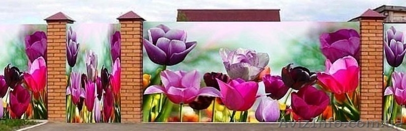 Декор ландшафтный дизайн фотосетка беседок забор паокан огорожа по Украине  - <ro>Изображение</ro><ru>Изображение</ru> #7, <ru>Объявление</ru> #1567053