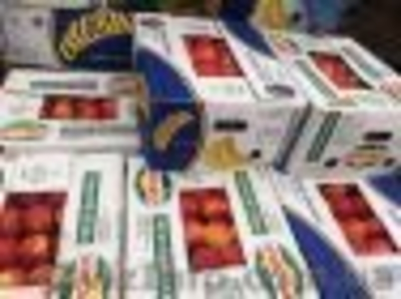 продам яблука різних сортів  - <ro>Изображение</ro><ru>Изображение</ru> #2, <ru>Объявление</ru> #1614330