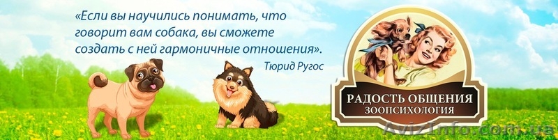 Скорая кинологическая помощь.Консультации зоопсихолога - <ro>Изображение</ro><ru>Изображение</ru> #3, <ru>Объявление</ru> #1631824