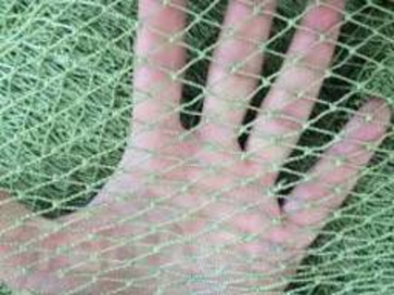 Дель узловая (капроновая сеть) - <ro>Изображение</ro><ru>Изображение</ru> #3, <ru>Объявление</ru> #1654914