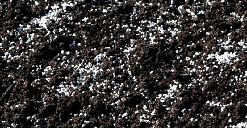 Гранульований вапняк для розкислення грунту - <ro>Изображение</ro><ru>Изображение</ru> #3, <ru>Объявление</ru> #1714349